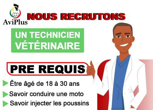 AVI-PLUS MALI RECRUTE TECHNICIEN VÉTÉRINAIRE H/F